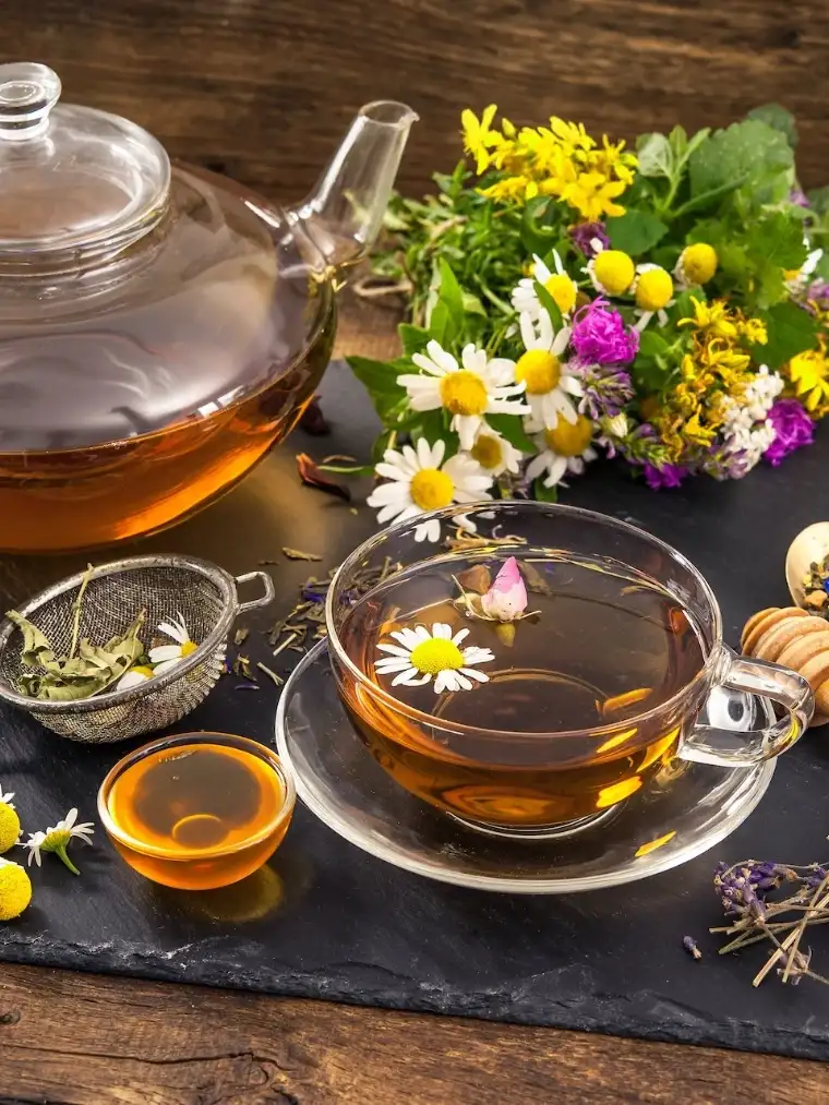 holistyczne_terapie_manualne_bartlomiej_kozuch usatwiveia systemie totalna biologia osteopatia mikrokinezyterpaia biokinezjologia NST naturopatia