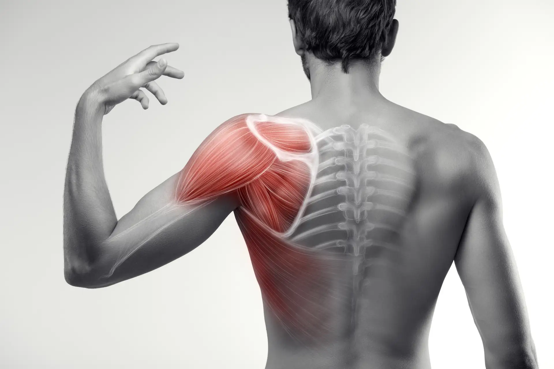 holistyczne_terapie_manualne_bartlomiej_kozuch usatwiveia systemie totalna biologia osteopatia mikrokinezyterpaia biokinezjologia NST